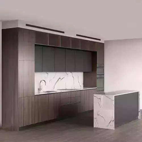 Contemporary wooden kitchen