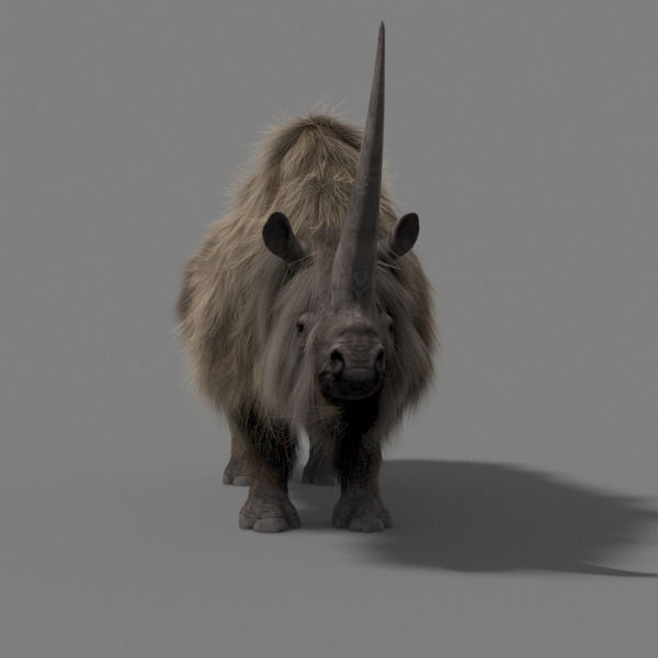 3D Wooly Elasmotherium Rhino 3D model_20