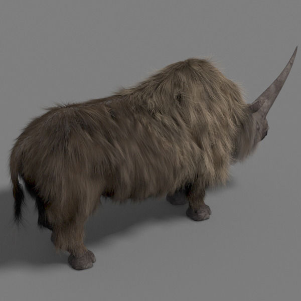 3D Wooly Elasmotherium Rhino 3D model_10