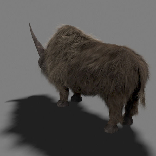 3D Wooly Elasmotherium Rhino 3D model_14