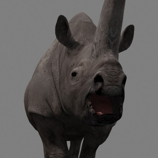 3D Wooly Elasmotherium Rhino 3D model_12