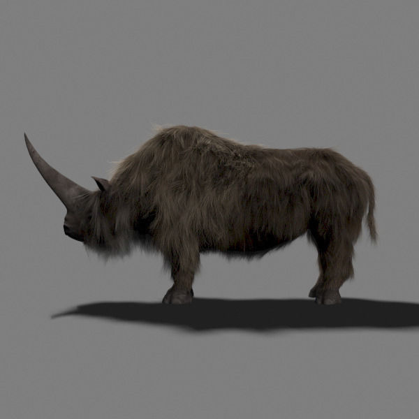 3D Wooly Elasmotherium Rhino 3D model_13