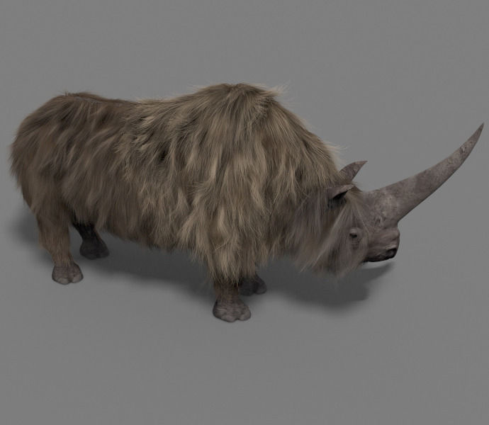3D Wooly Elasmotherium Rhino 3D model_5