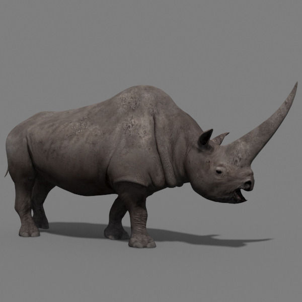 3D Wooly Elasmotherium Rhino 3D model_7