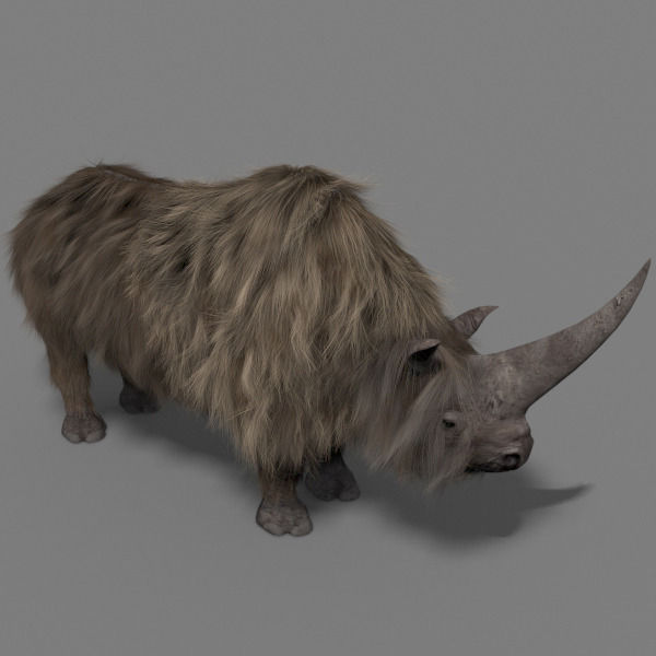 3D Wooly Elasmotherium Rhino 3D model_15