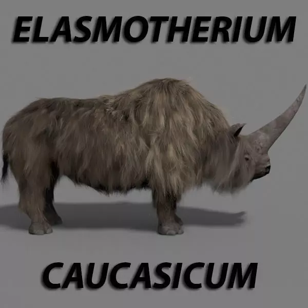 3D Wooly Elasmotherium Rhino 3D model_0