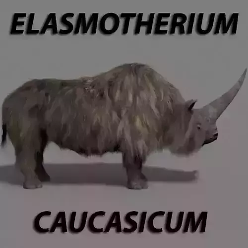 3D Wooly Elasmotherium Rhino 3D model