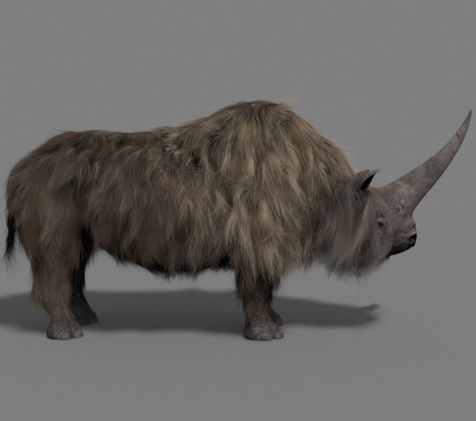 3D Wooly Elasmotherium Rhino 3D model_6