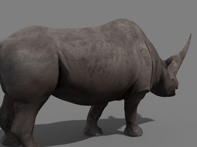 3D Wooly Elasmotherium Rhino 3D model_11