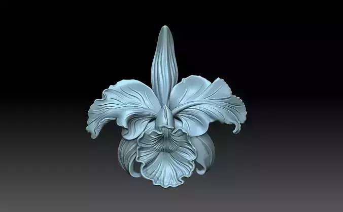 Flower orchid 3D print model