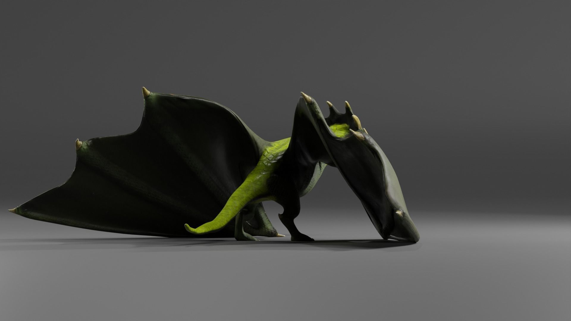 Fantasy Fire Dragons Low-poly 3D model_60