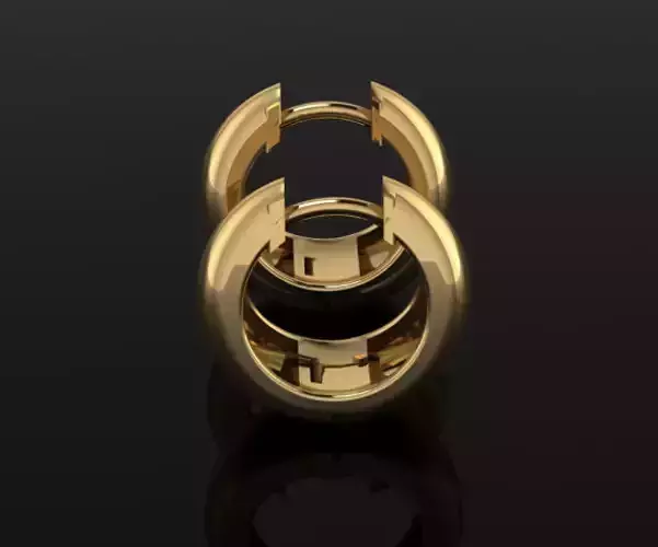 EARRING two gold hoop earrings