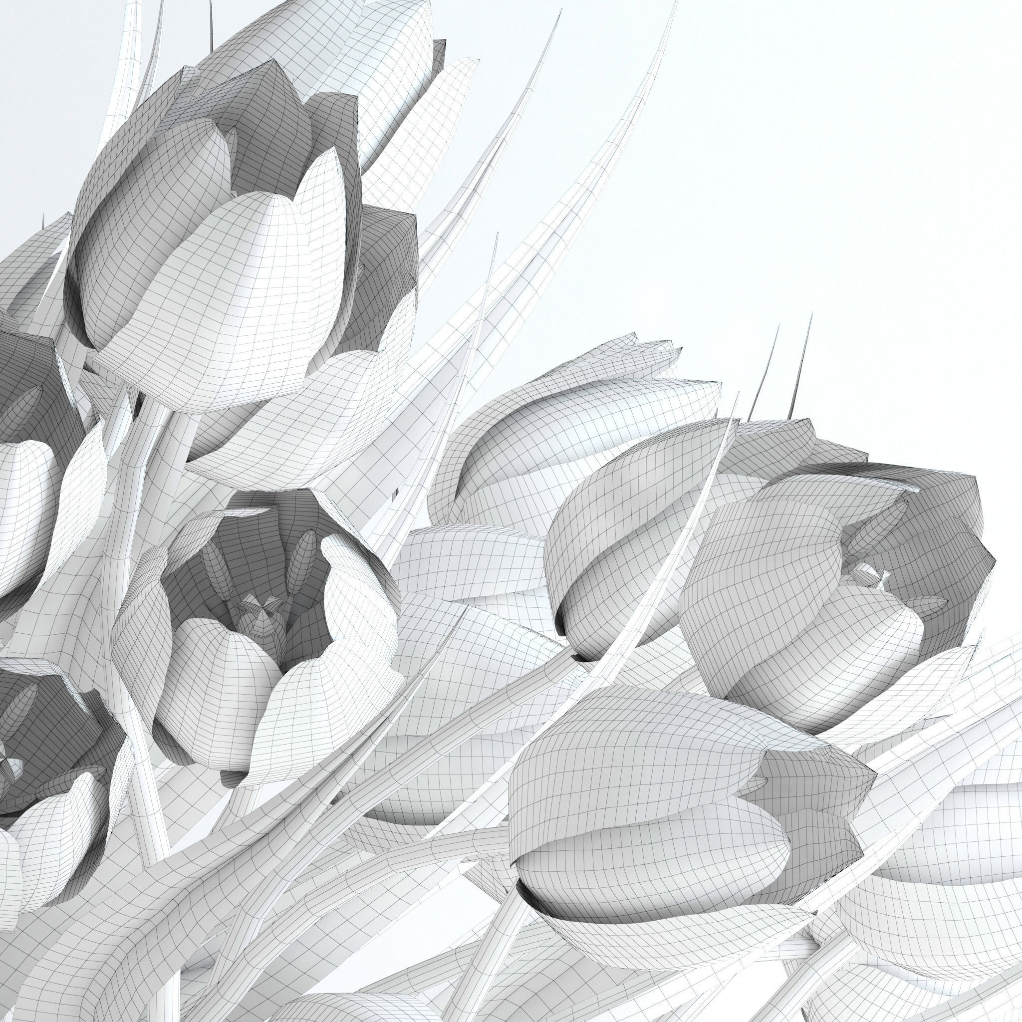 Yellow tulips 3D model_8