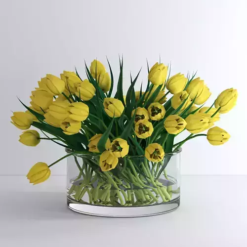Yellow tulips 3D model