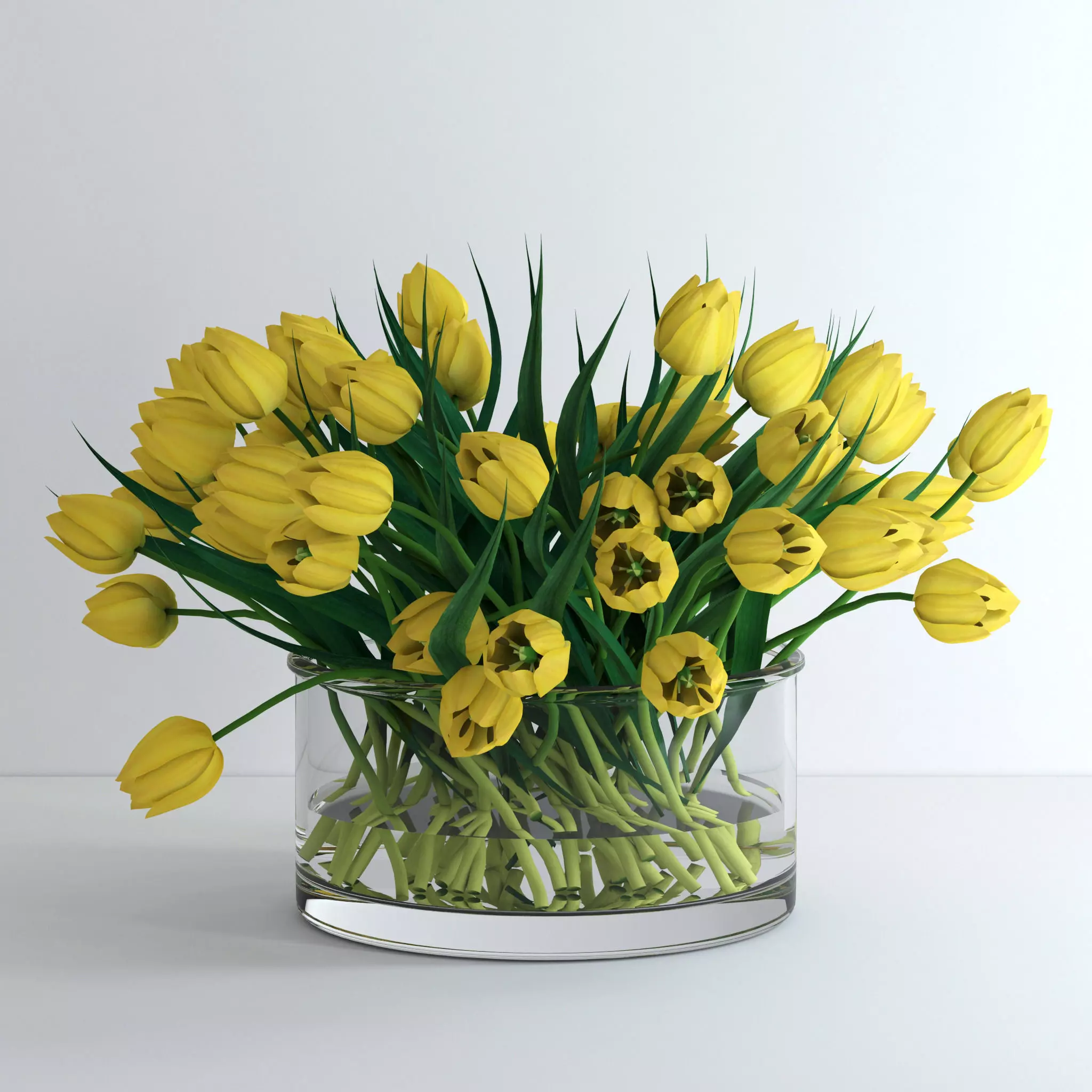 Yellow tulips 3D model_0