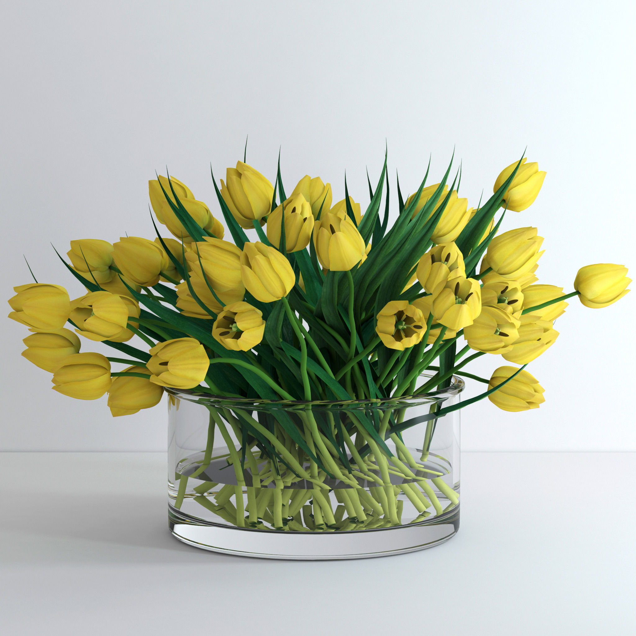Yellow tulips 3D model_1