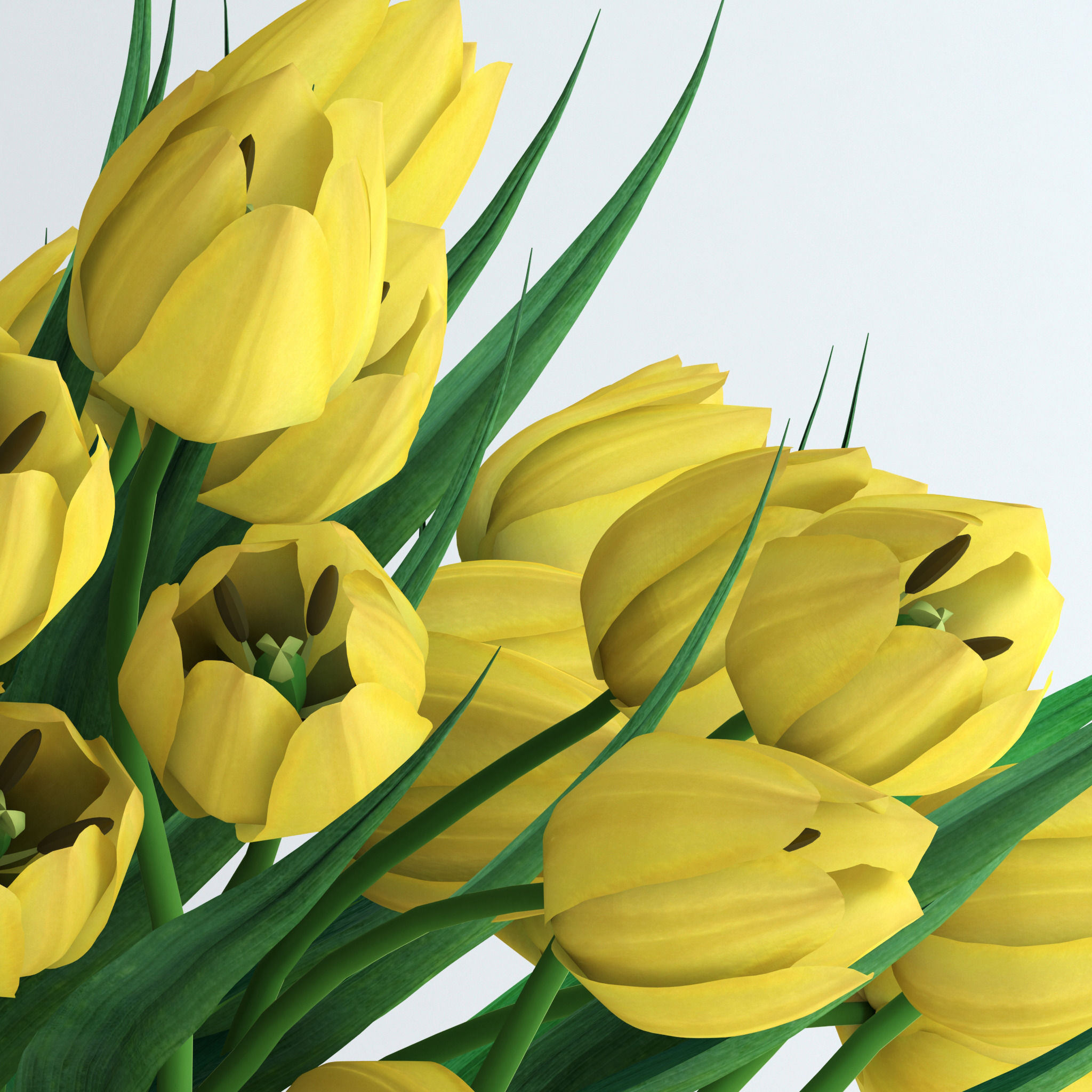 Yellow tulips 3D model_6