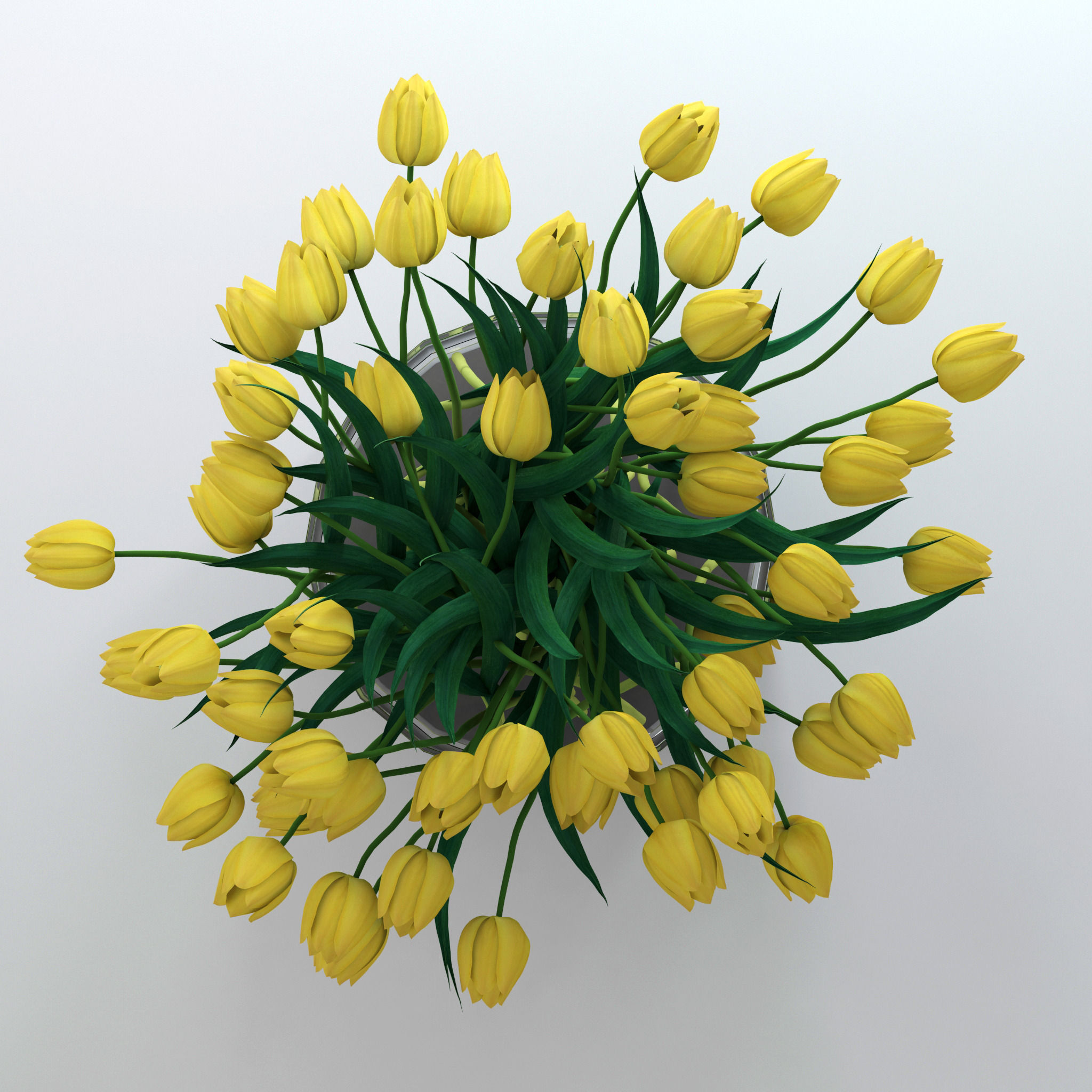 Yellow tulips 3D model_4