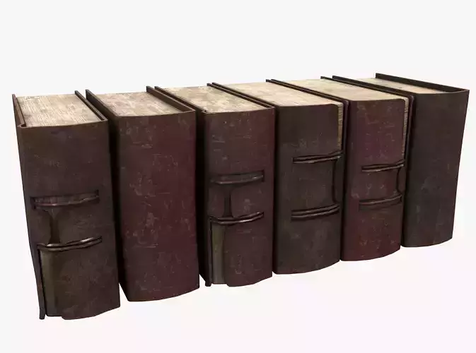Medieval Book