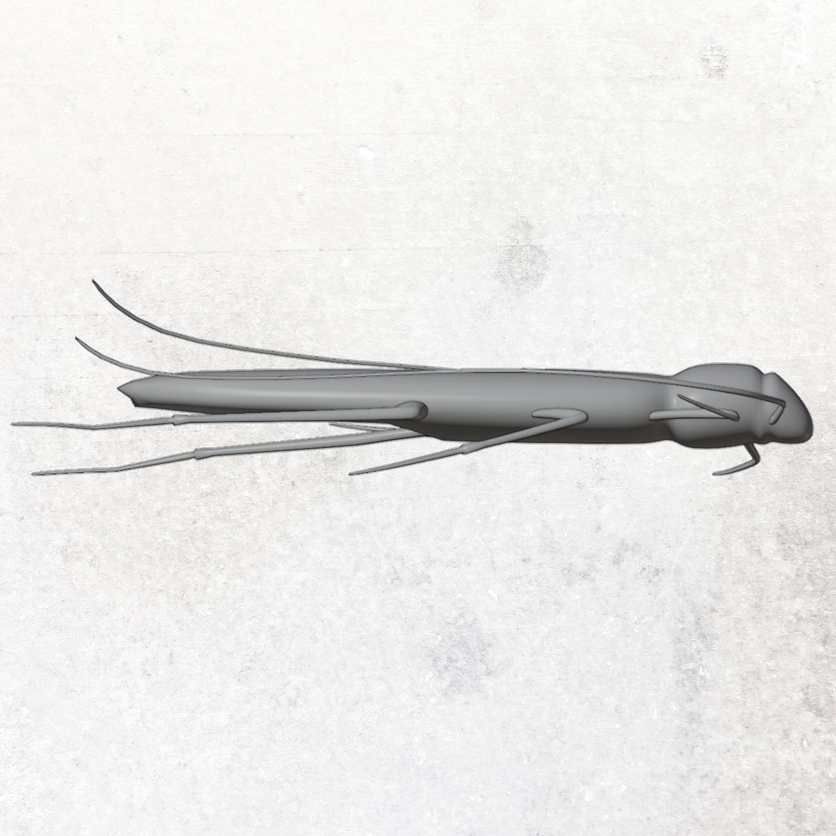 Cockroach Low-poly 3D model_7