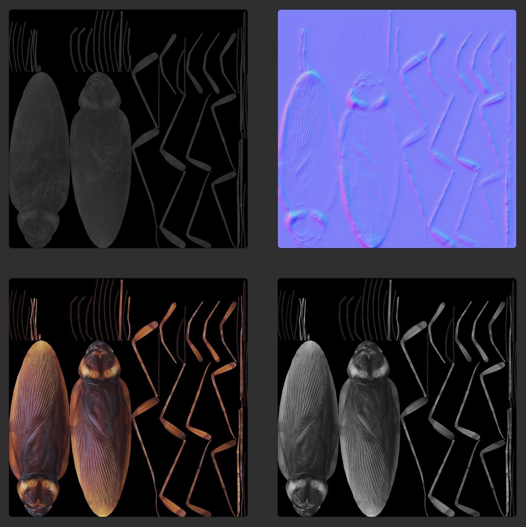 Cockroach Low-poly 3D model_6