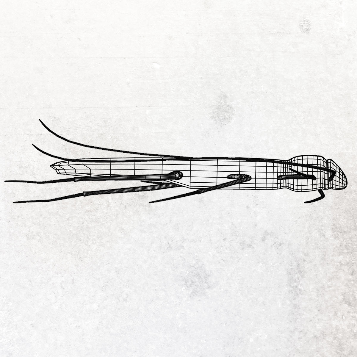 Cockroach Low-poly 3D model_8