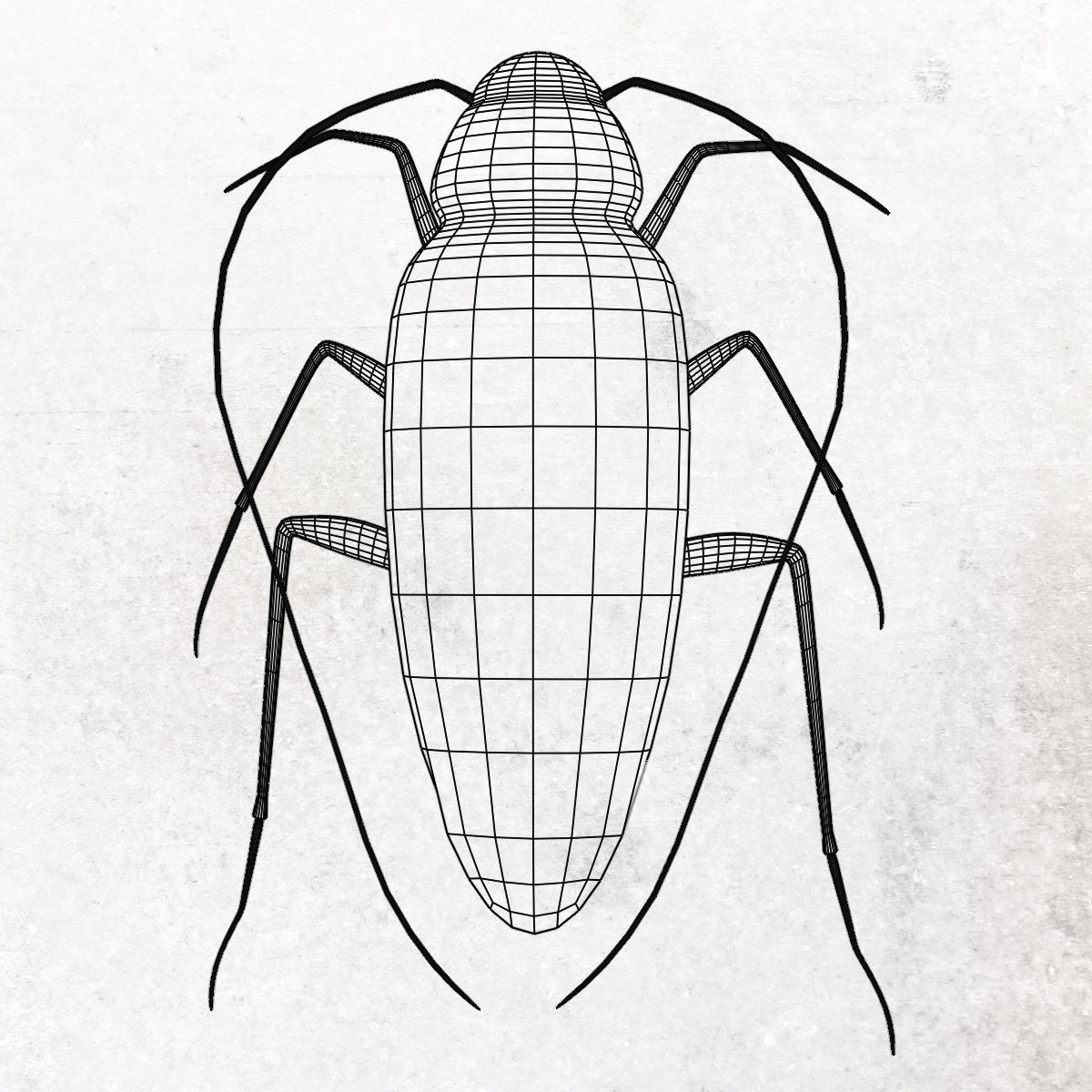 Cockroach Low-poly 3D model_4