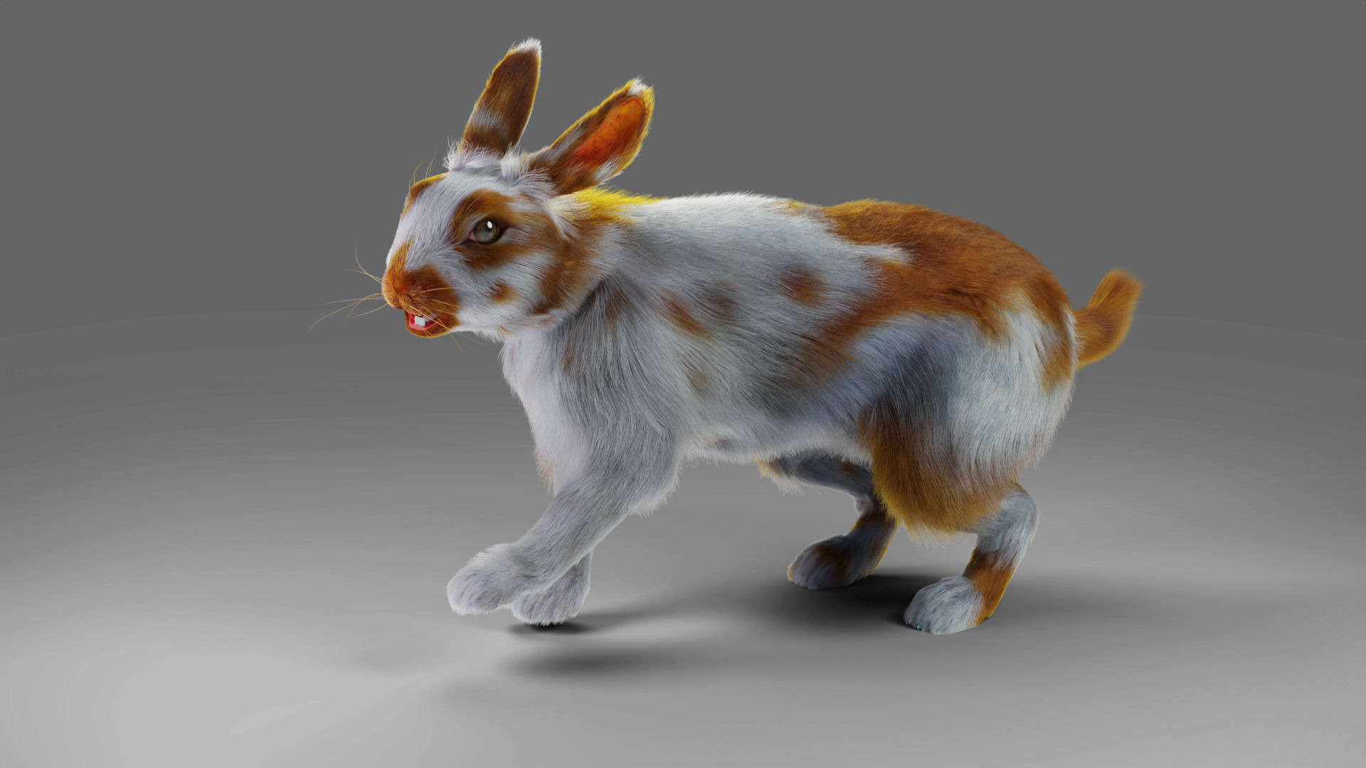 Fur Rabbit Gray V03 Rigged Low-poly 3D model_3