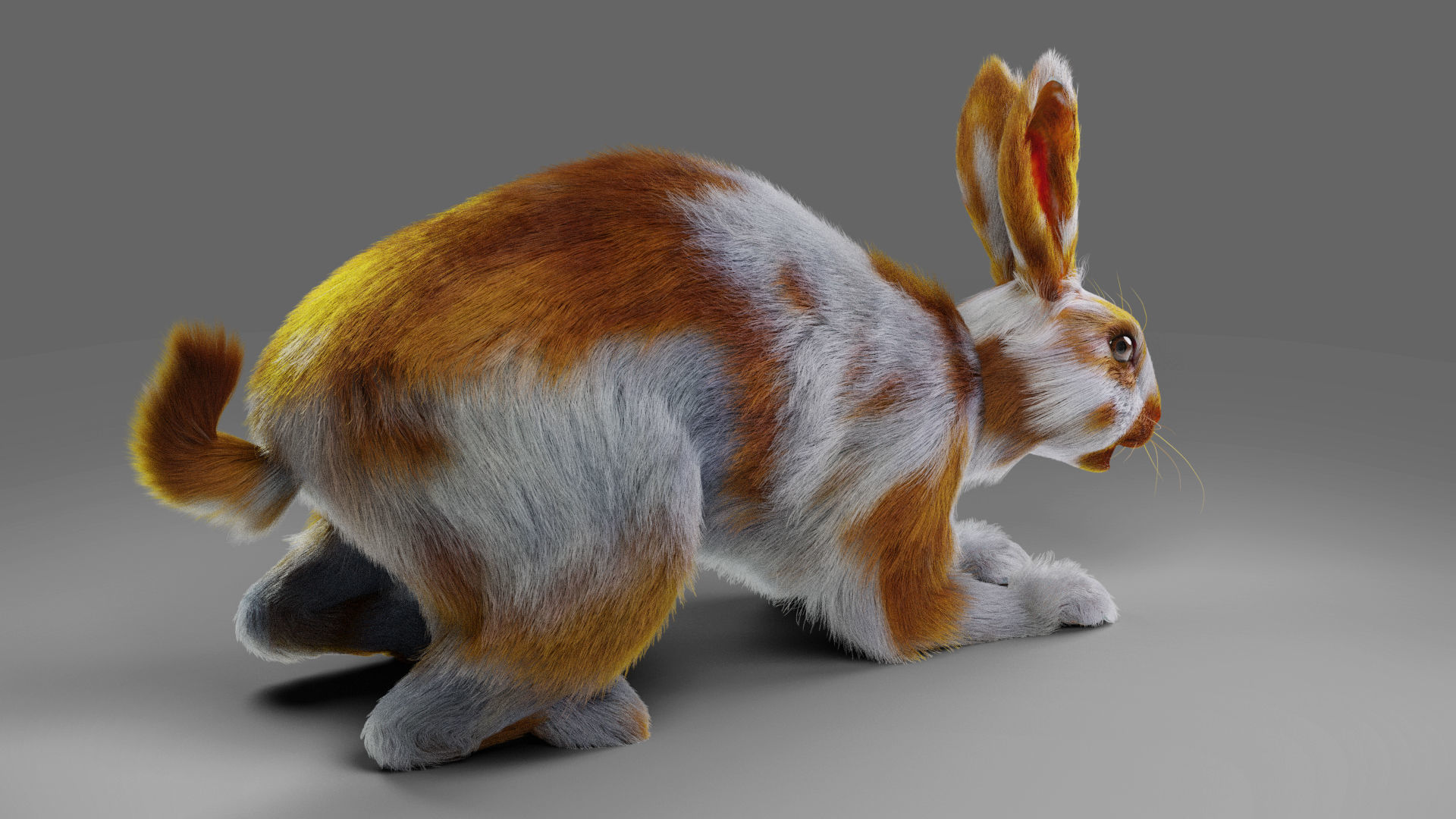 Fur Rabbit Gray V03 Rigged Low-poly 3D model_6