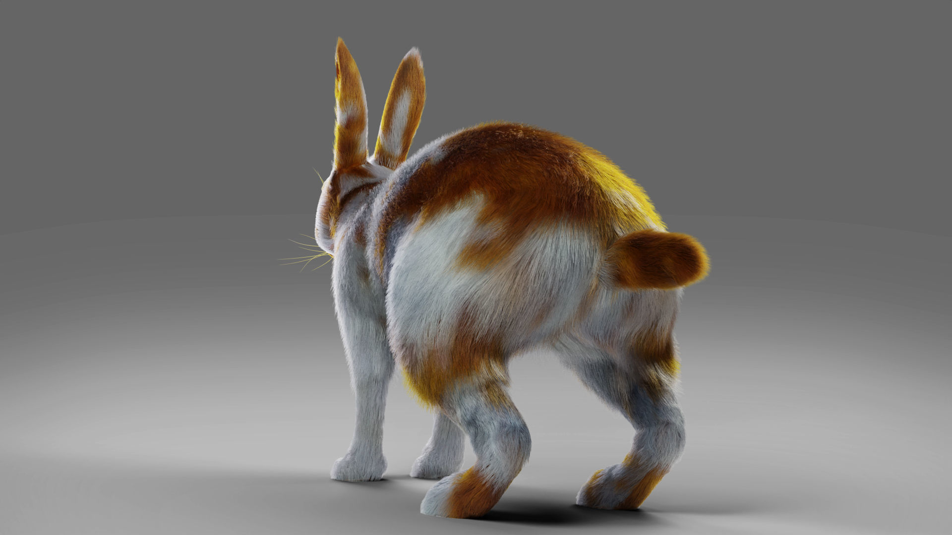 Fur Rabbit Gray V03 Rigged Low-poly 3D model_11