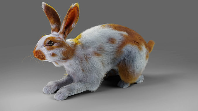 Fur Rabbit Gray V03 Rigged Low-poly 3D model