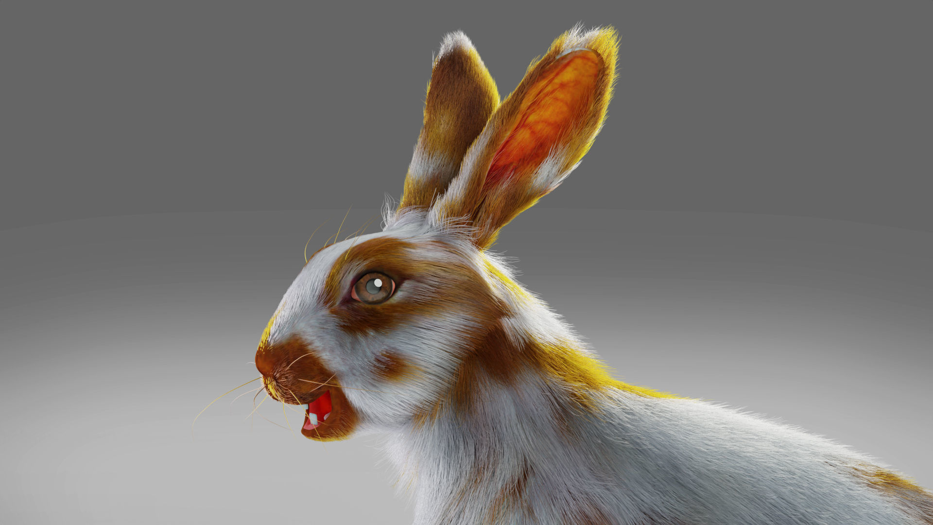 Fur Rabbit Gray V03 Rigged Low-poly 3D model_7
