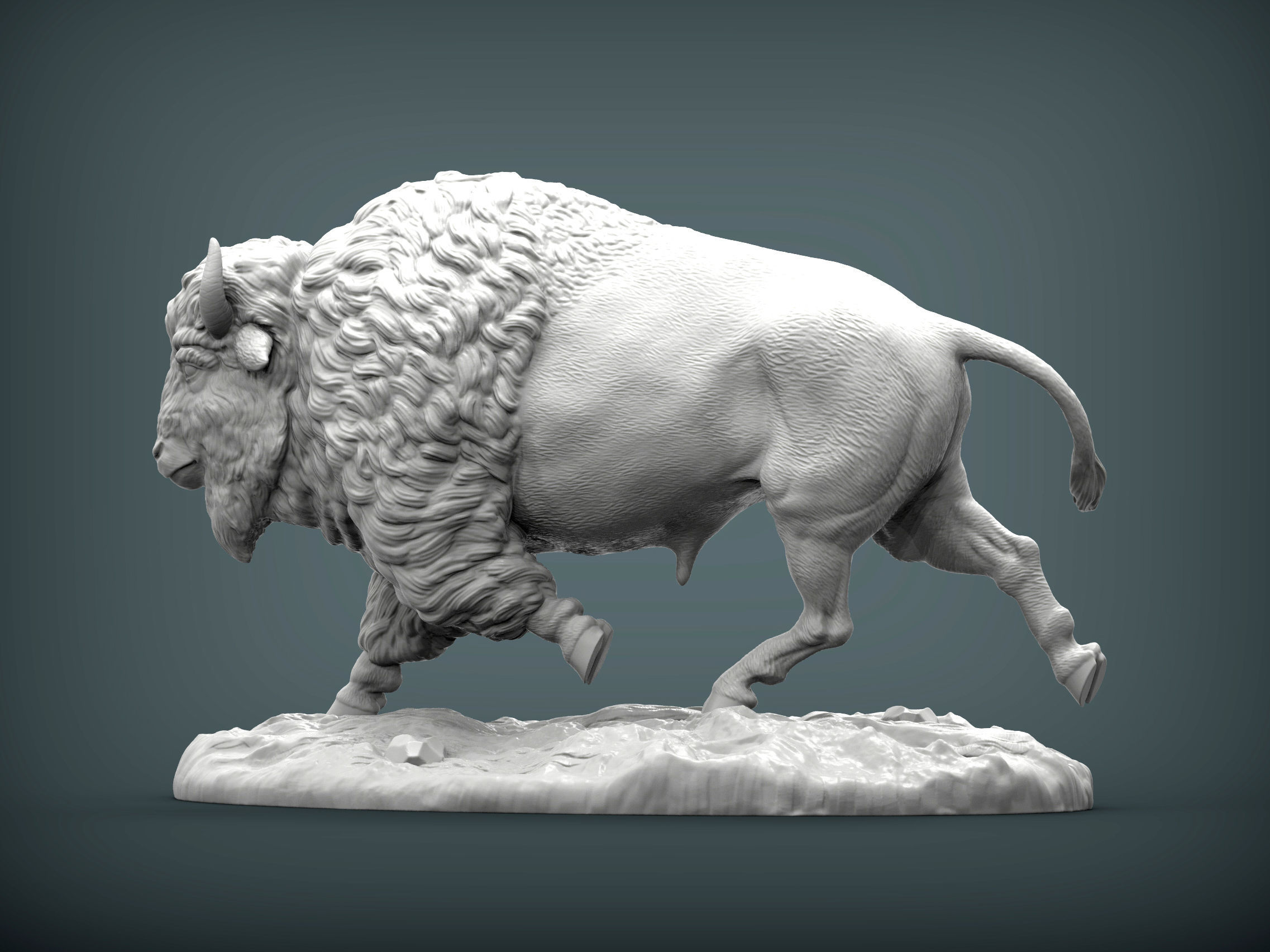 Bison 3D print model_5