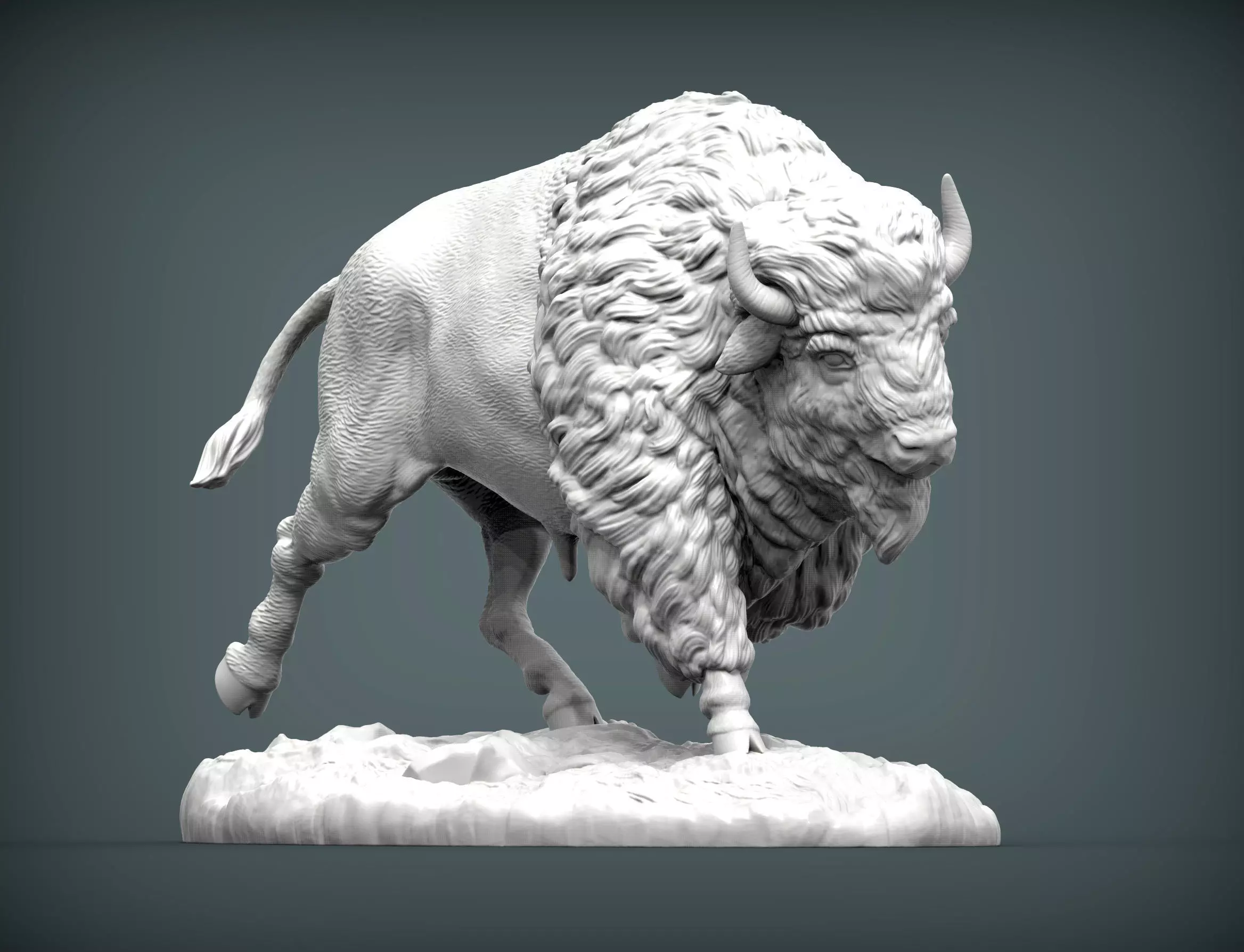 Bison 3D print model_0