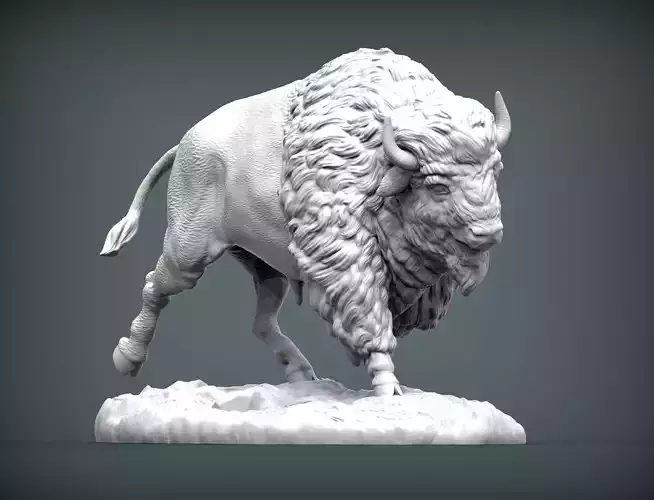 Bison