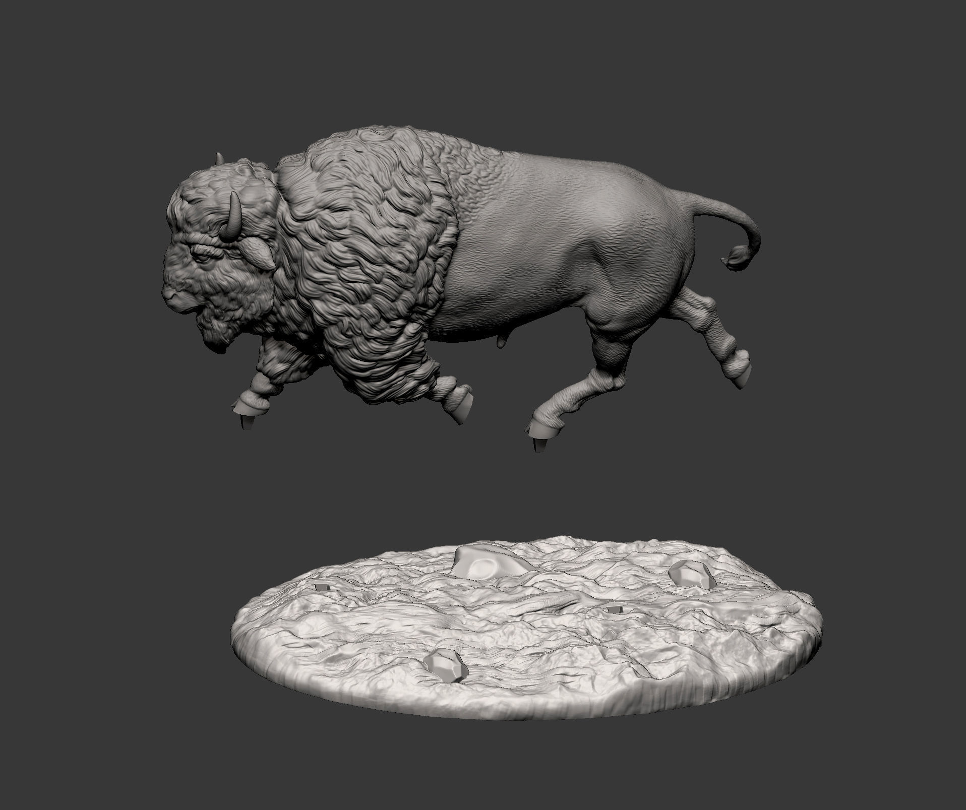 Bison 3D print model_10