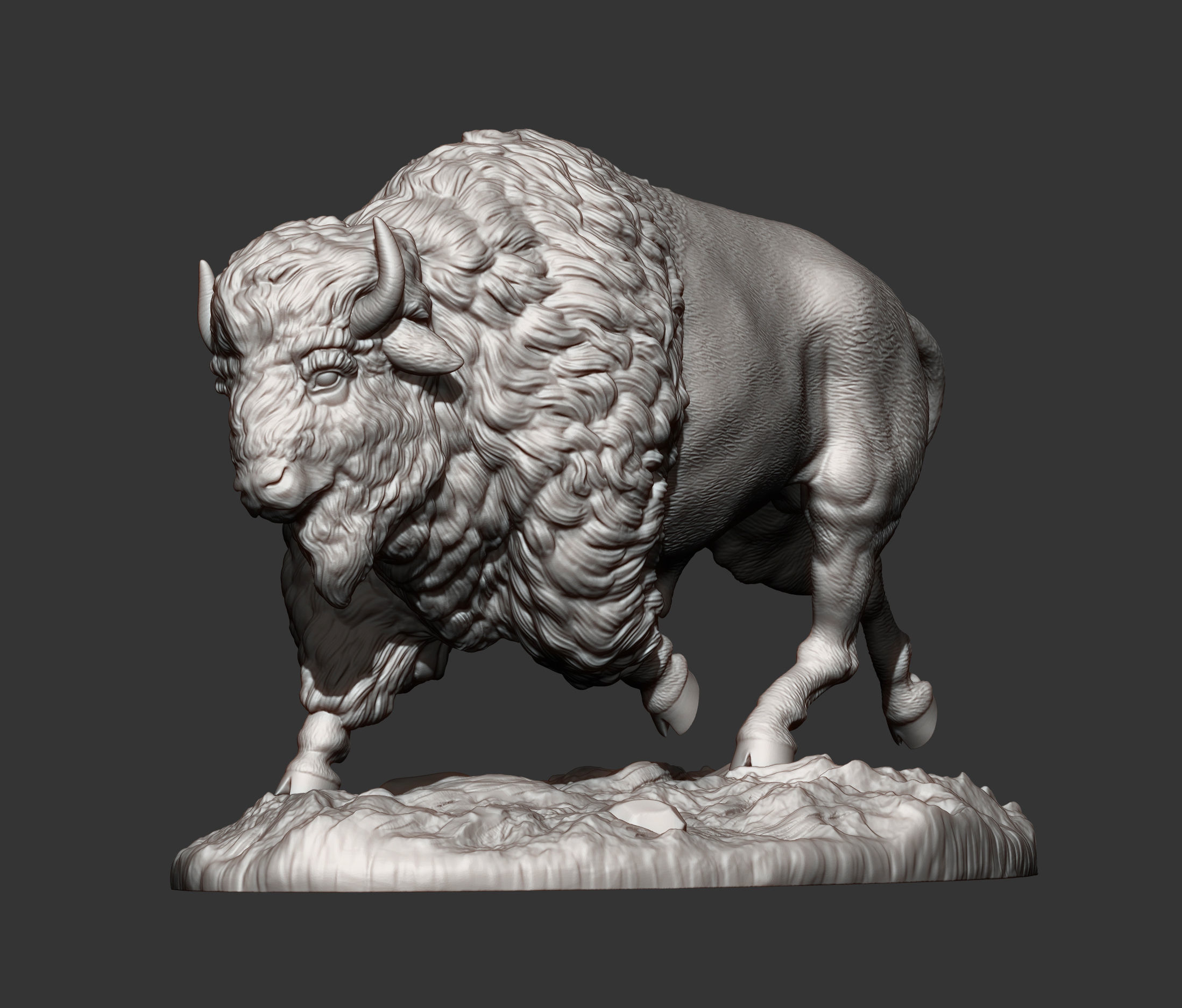 Bison 3D print model_12