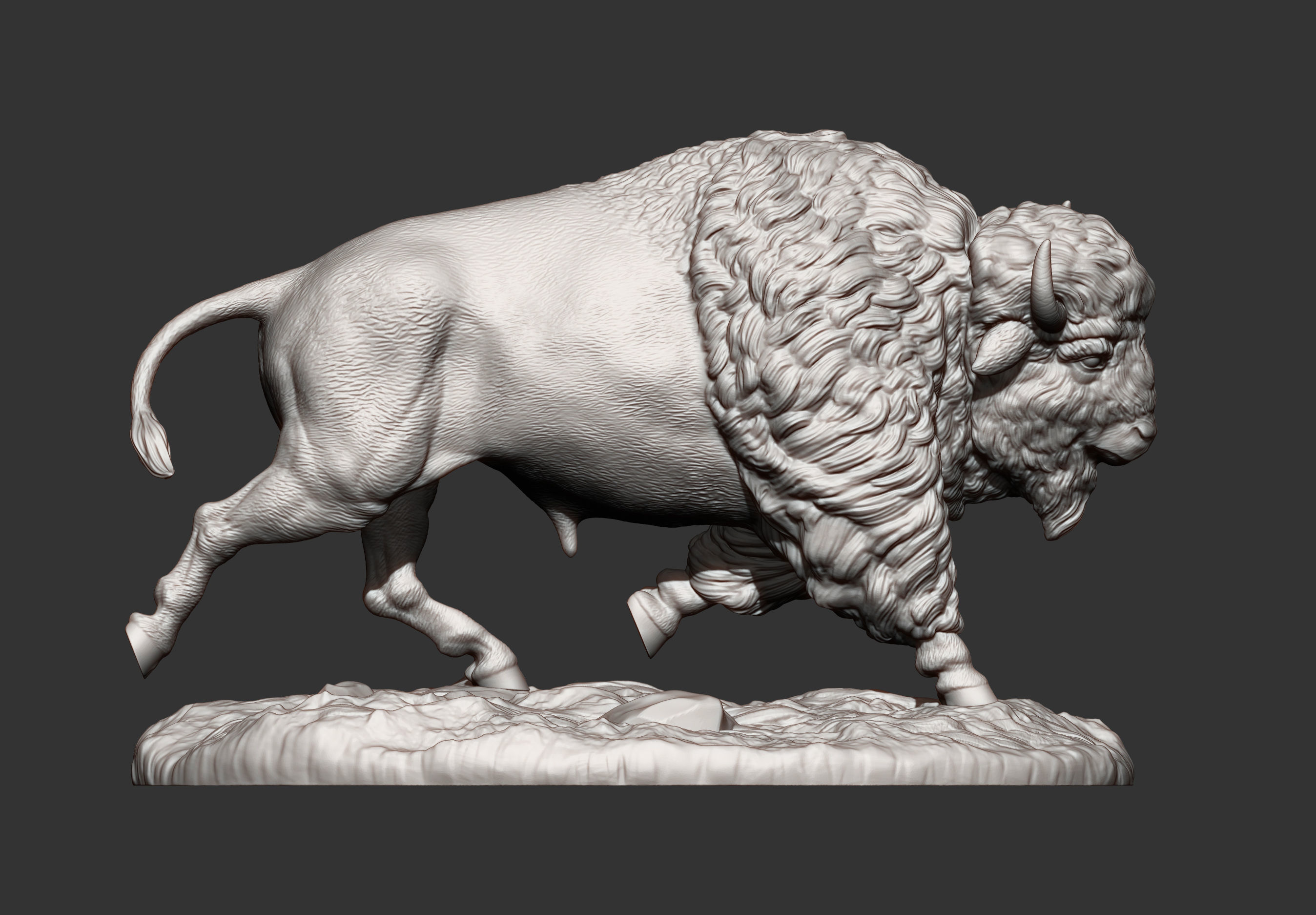 Bison 3D print model_11