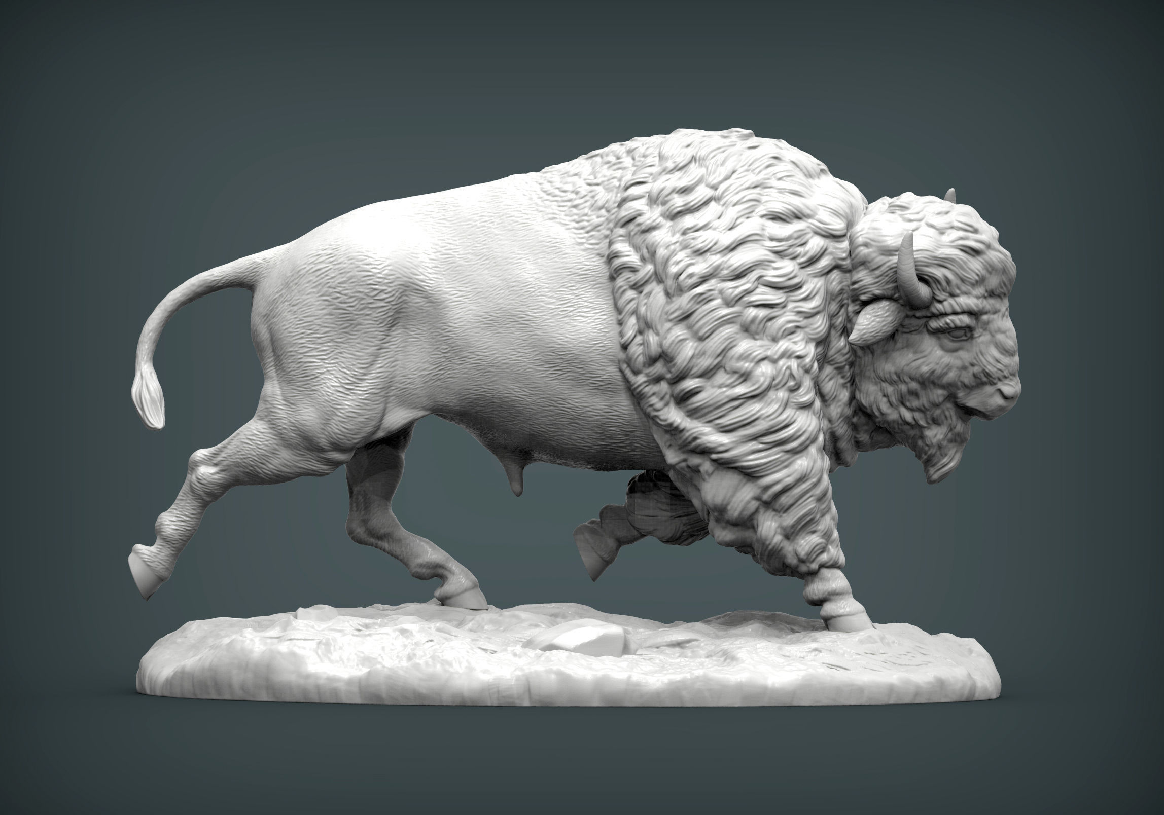 Bison 3D print model_2
