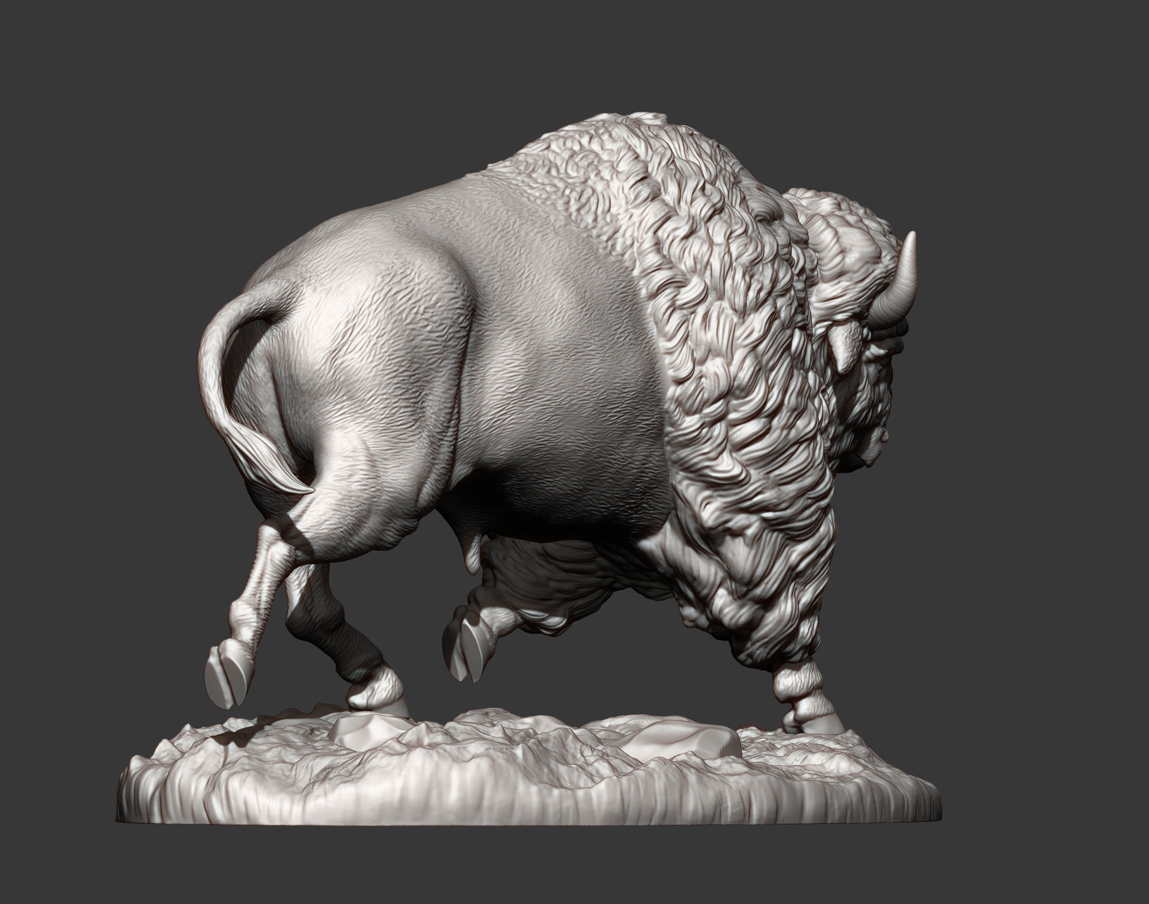 Bison 3D print model_9