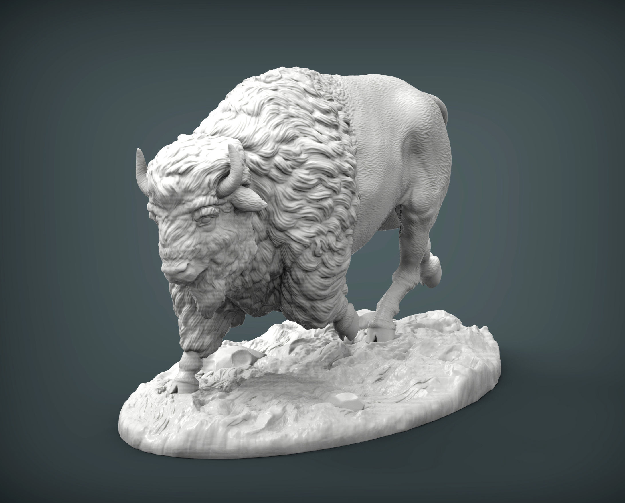 Bison 3D print model_6