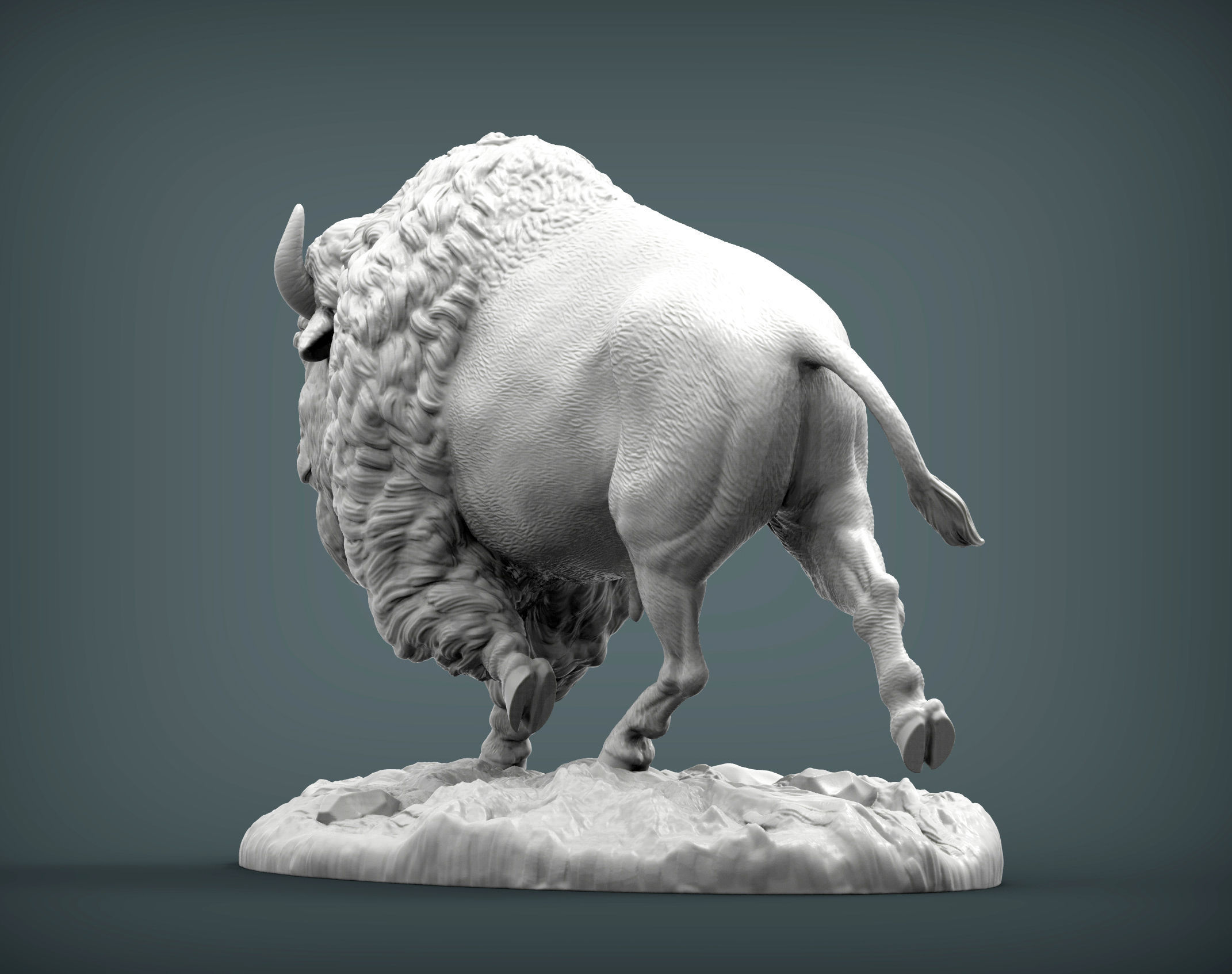 Bison 3D print model_4