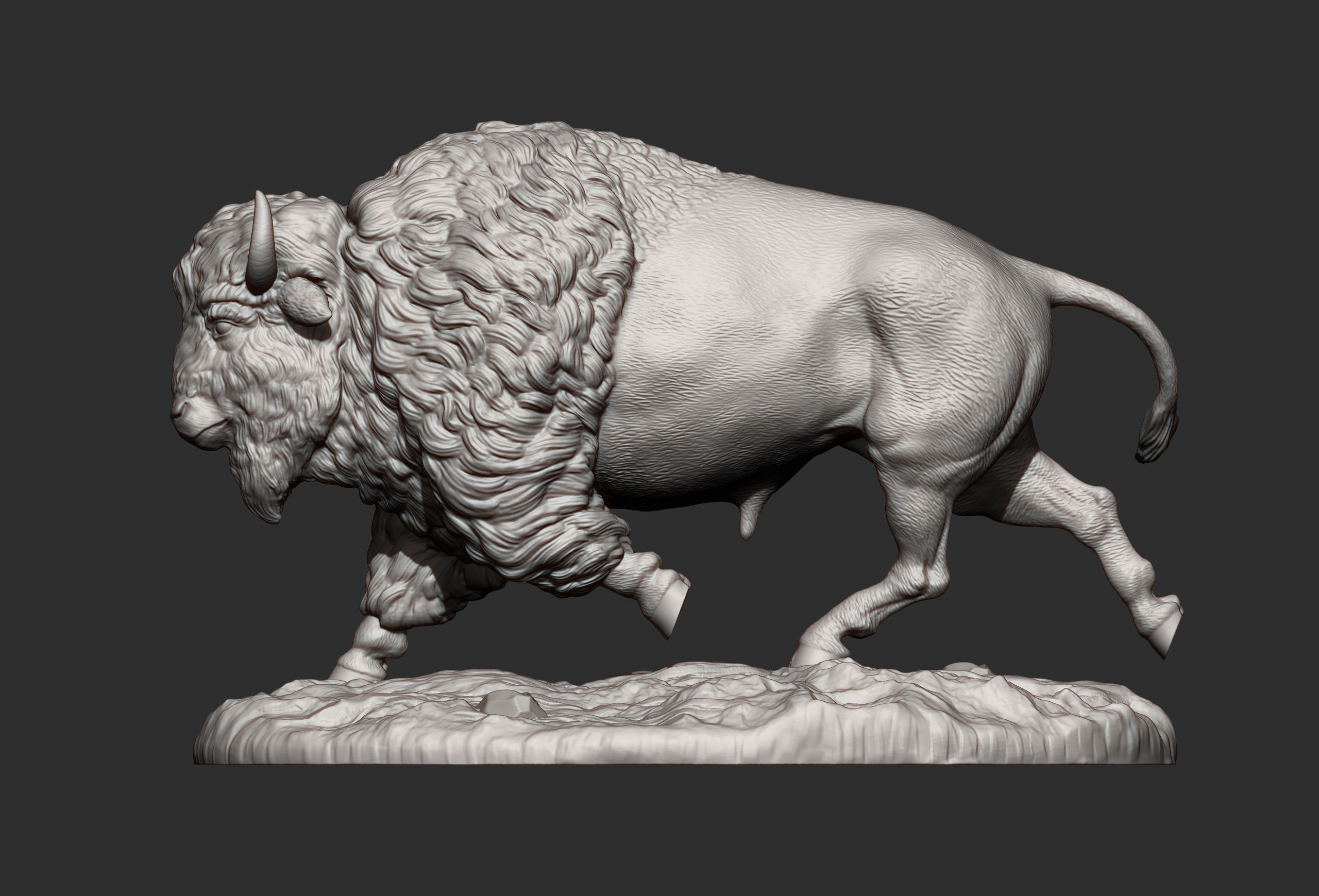 Bison 3D print model_7