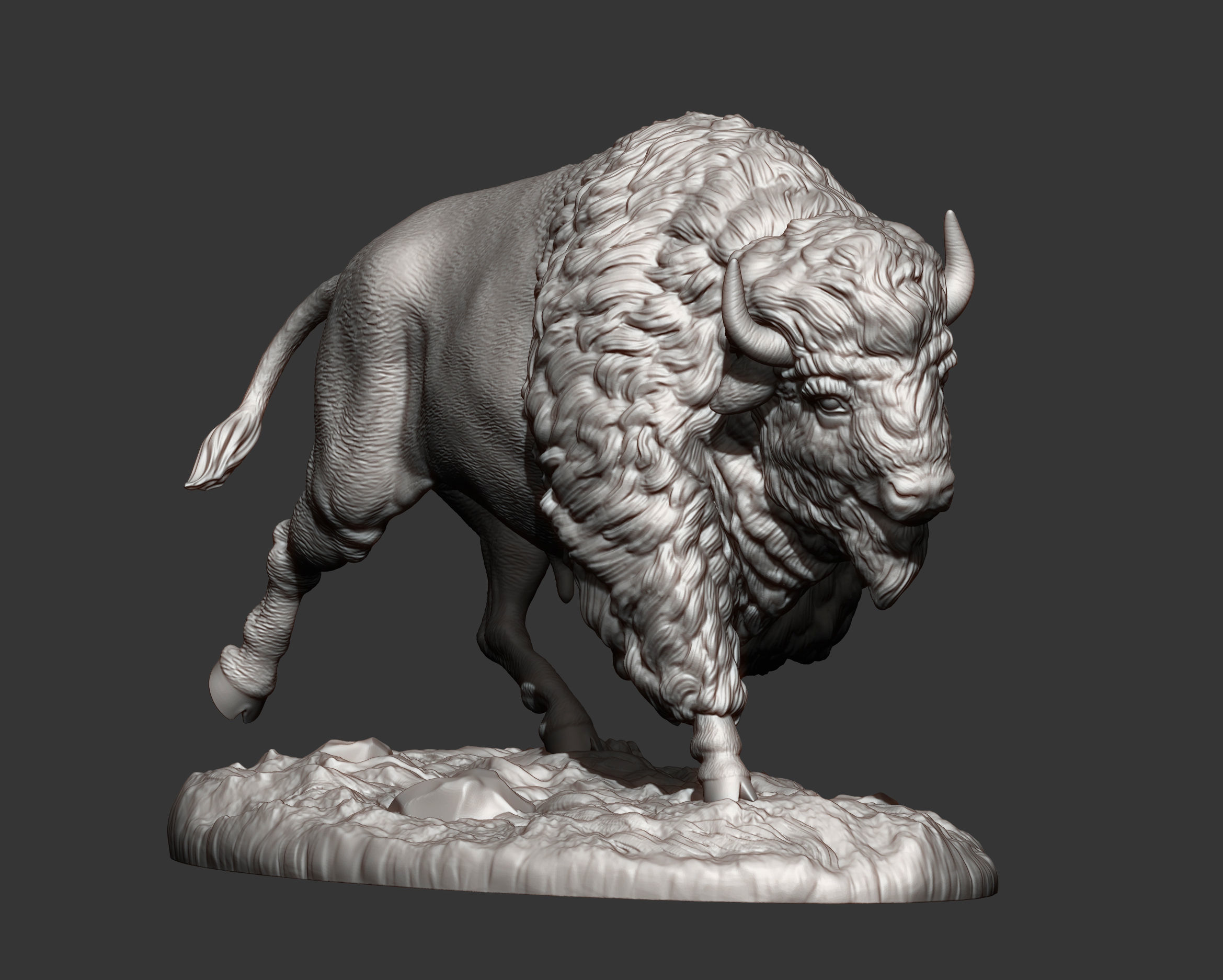 Bison 3D print model_13