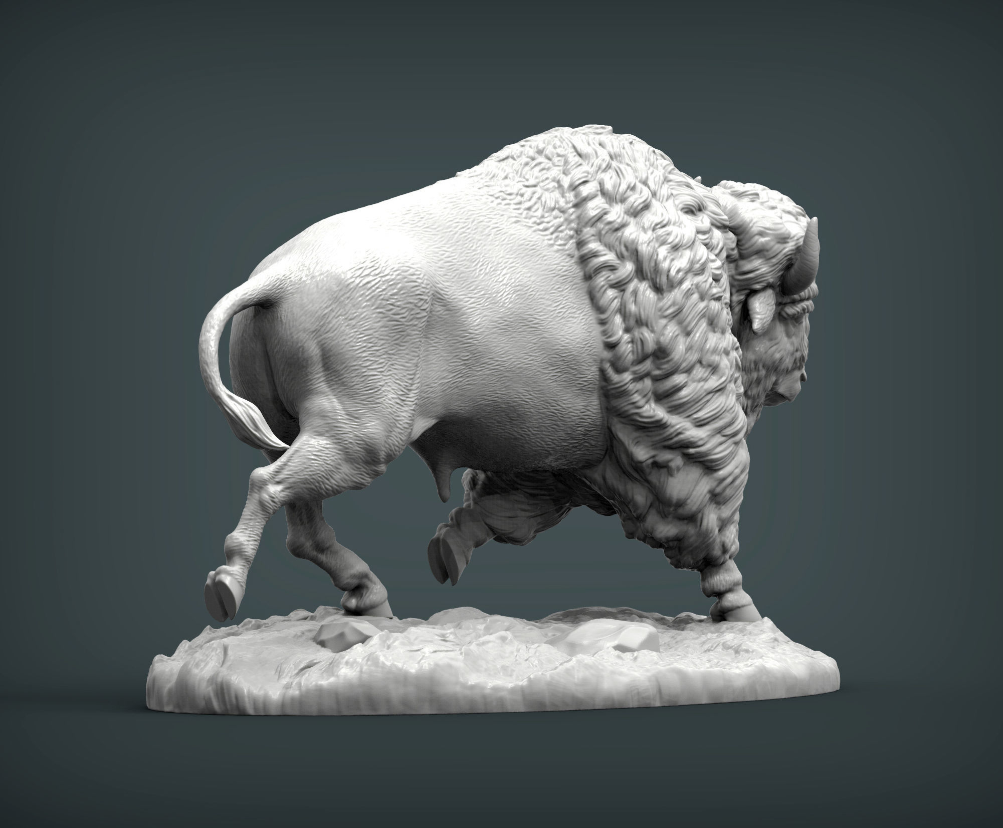 Bison 3D print model_3