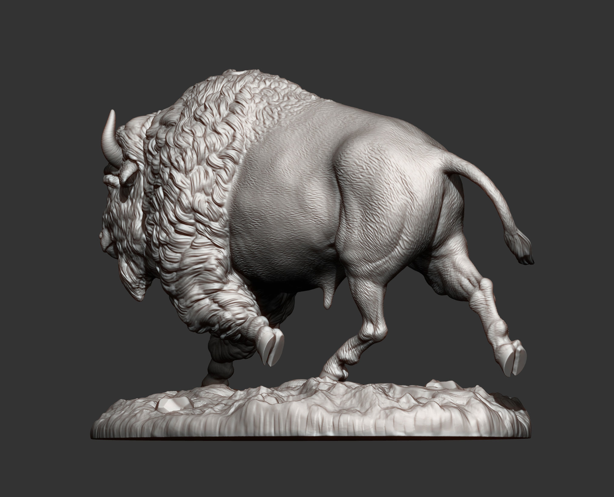 Bison 3D print model_8