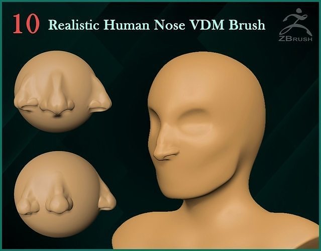 10 Realistic Human Nose VDM Brush 3D model