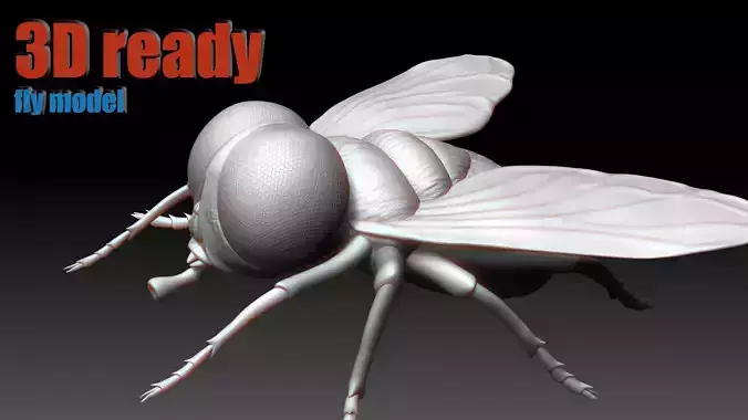 Fly 3D Printable Model Perfect for Collectors and Creators