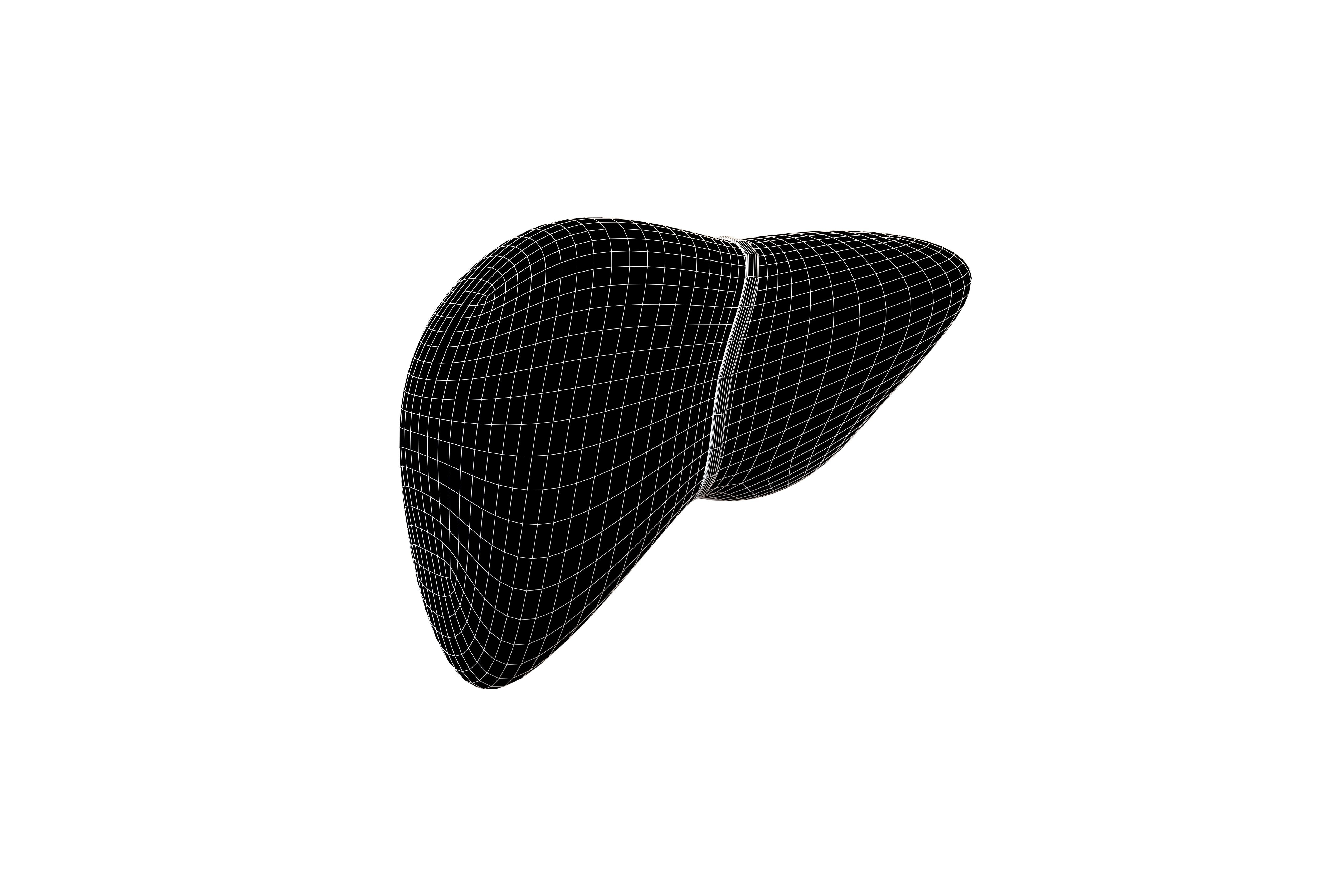Cartoon Liver v1 001 Low-poly 3D model_5