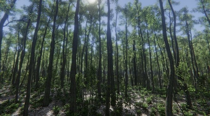 Unity Pack Nature Forest HQ trees 3D model